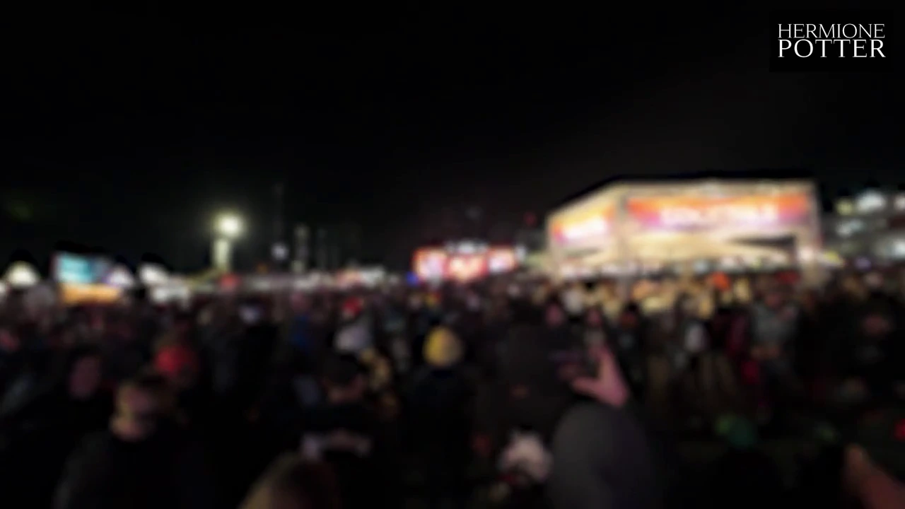 Rock am Ring 2024: A adult vlog with a natural and public facial scene. porn video